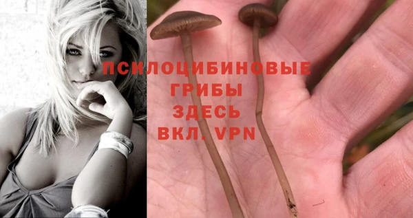 мяу мяу мука Пестово