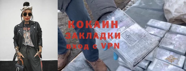 твердый Пересвет
