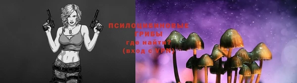мяу мяу мука Пестово