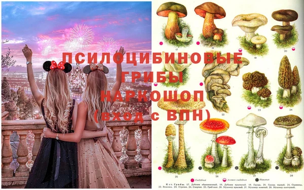 мяу мяу мука Пестово