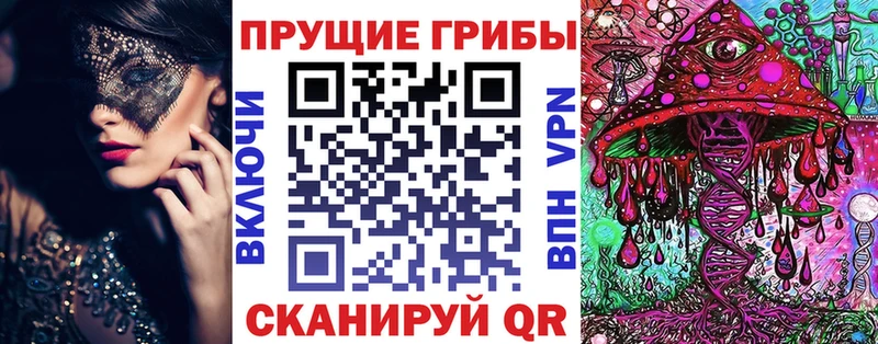 площадка формула  Свободный  Галлюциногенные грибы Cubensis 